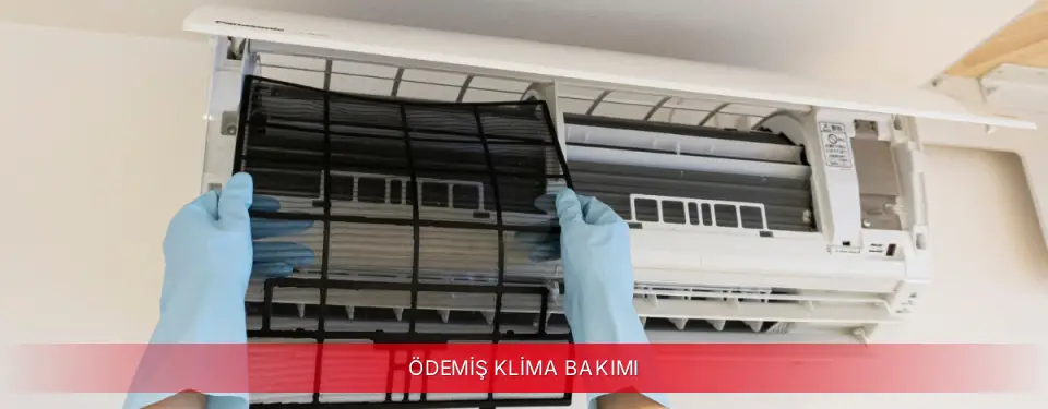 Ödemiş İlçemi Fujitsu Klima Bakımı