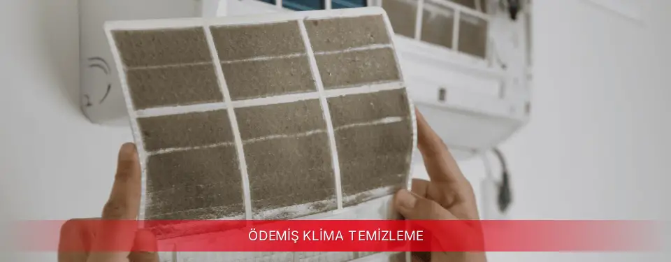 Ödemiş İlçemi Fujitsu Klima Temizleme
